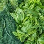 How to Store Fresh Herbs: So They Last Longer