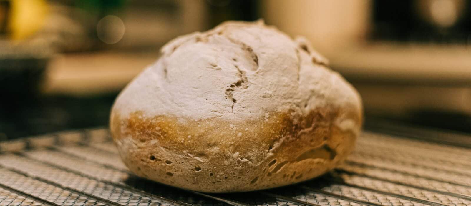 How to Choose a Bread Machine: The Features That Actually Matter
