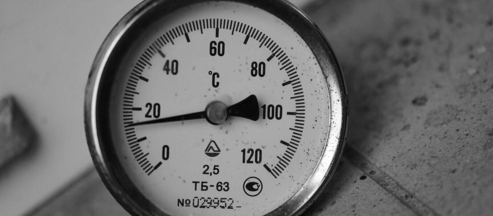 Best Oven Thermometers in 2026: Finding Out What Your Oven Actually Does