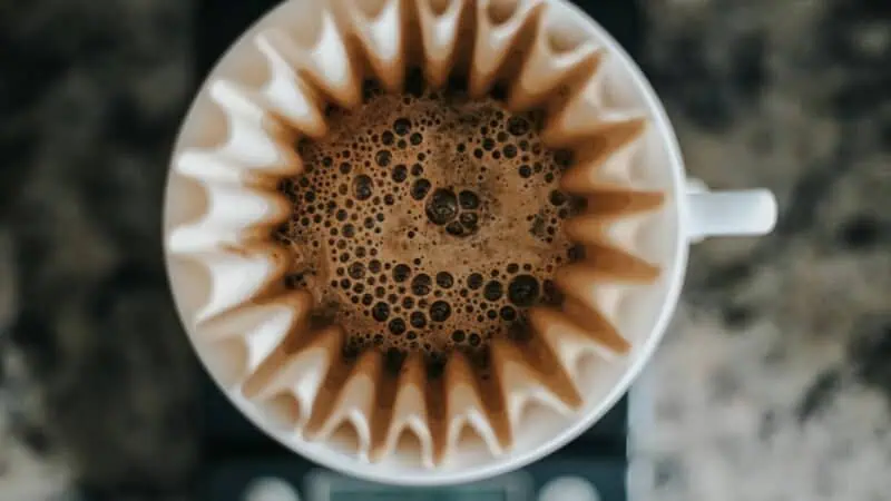 Paper vs Metal Coffee Filters in 2026: Which Brews a Better Cup?