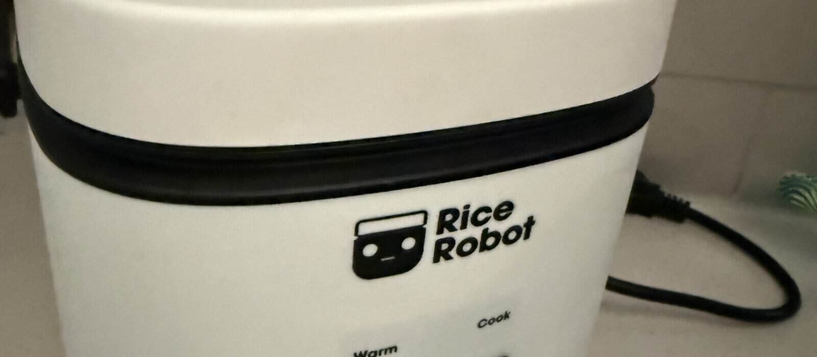 How to Choose a Rice Cooker: Complete Guide