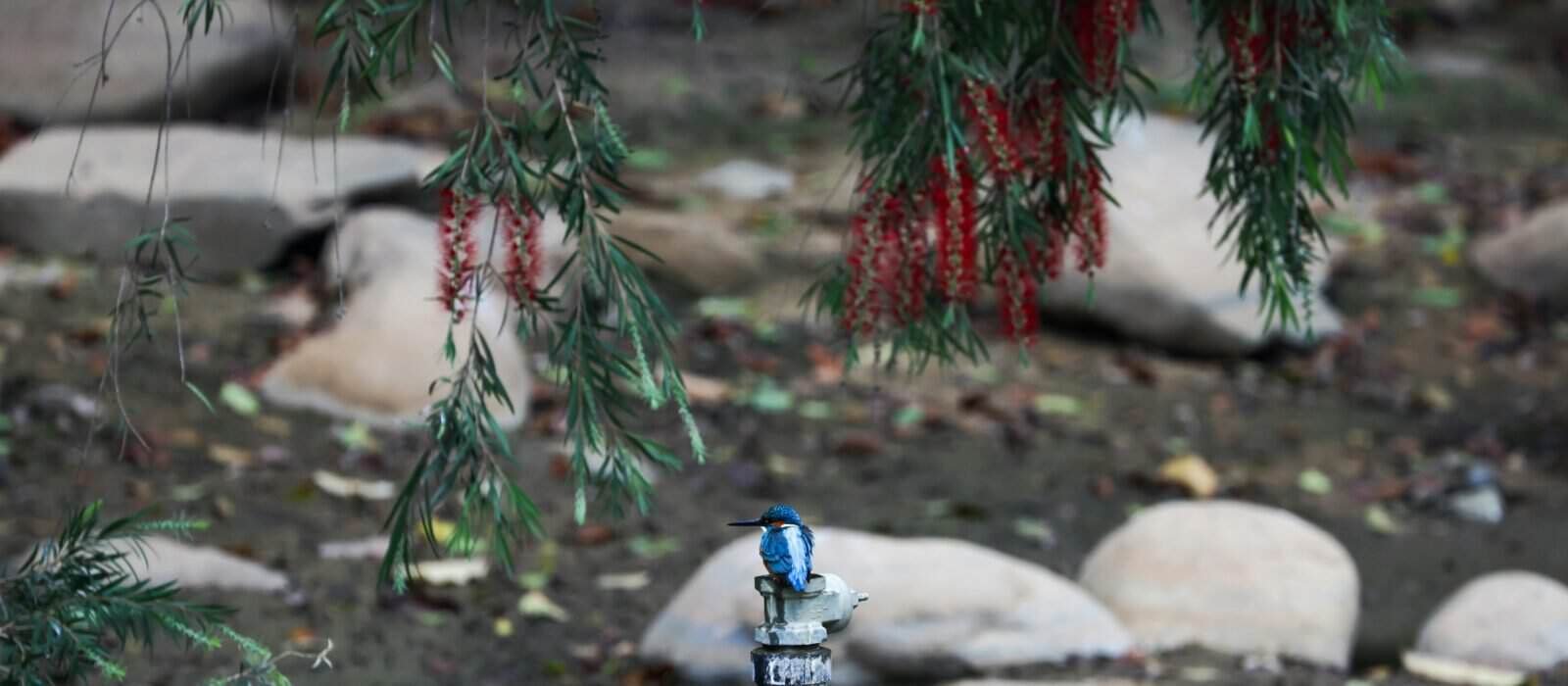 Best Smart Water Shutoff Valves in 2026: Stopping a Leak Before It Reaches the Floor