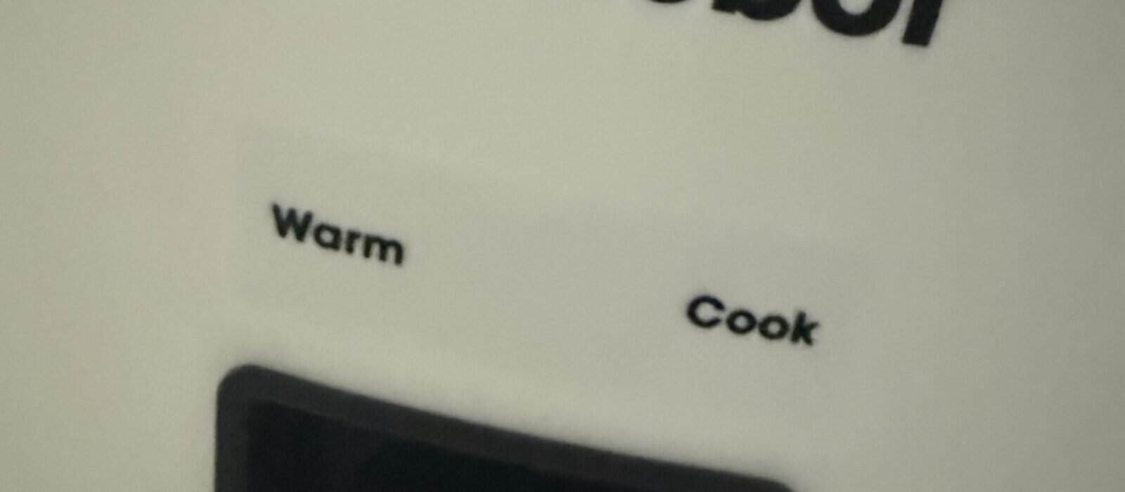 Is a Basic Rice Cooker Enough? What To Know Situationally