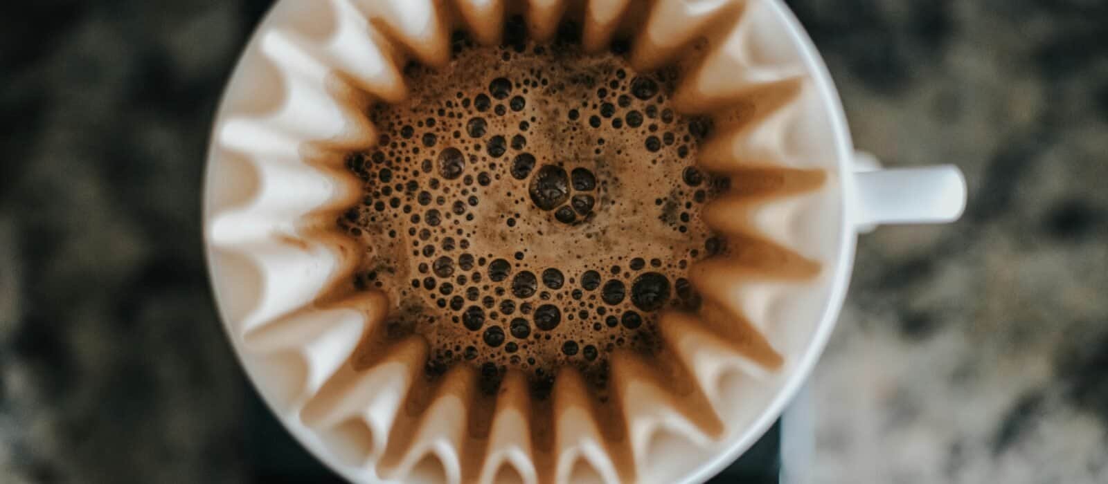 Best Coffee Filters and Reusable Baskets in 2026: What the Filter Takes Out