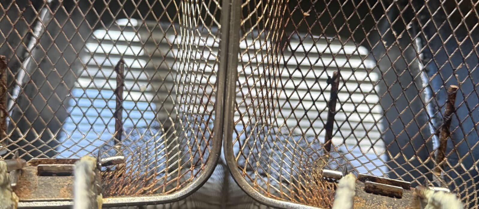 Do You Need a Dual Basket Deep Fryer: Batches, Meals, and Counter Space