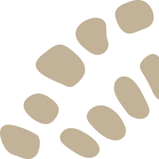 Ballin Club Archives - Soul of Saudi