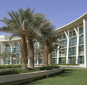 Benefits of Studying in Saudi Arabia as an International Student