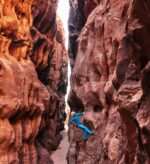 The Saudi <br>You Haven’t Met Yet