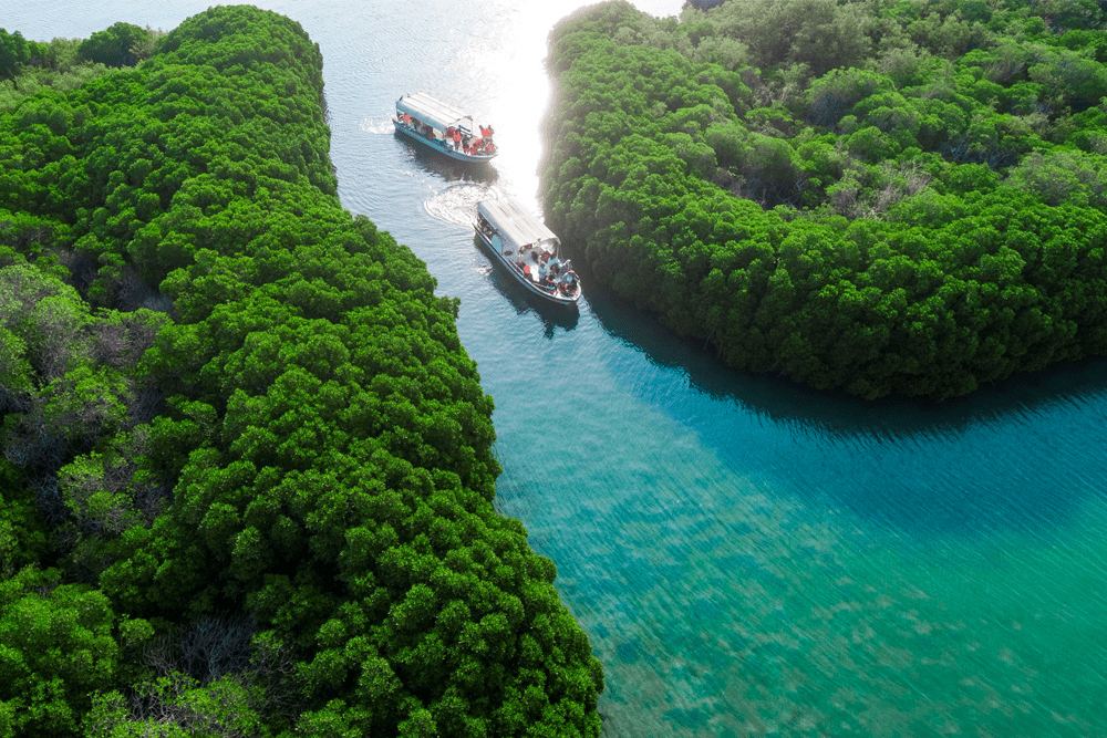 Saudi Tourism Boom: Hidden Gems You Need to Visit Before They Get Crowded