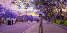 Escape the Heat in Cool-Weather Destinations in Saudi Arabia for Eid al-Adha 2025 