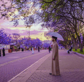 Escape the Heat in Cool-Weather Destinations in Saudi Arabia for Eid al-Adha 2025 