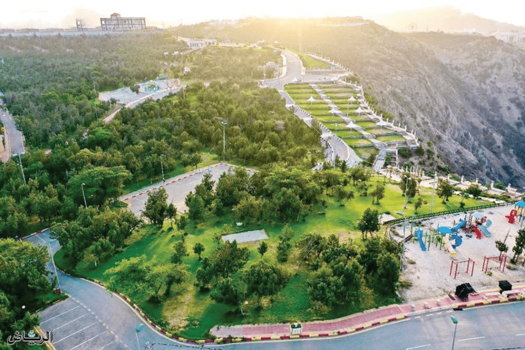 A mountain area in Saudi Arabia with fresh greenery during summer - (Credits Arabia Weather)