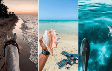 Your Ultimate ‘Color Your Summer Saudi Arabia’ Itinerary From Highland Mists, Sunlit Shores, Beautiful Peaks, Skylines, & Soul-Stirring Traditions