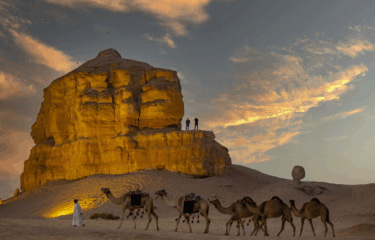 Training for Tomorrow with Saudi Tourism Upskilling Platform