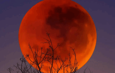 Under a Crimson Sky, Witness The Blood Moon Over Saudi Arabia 2025