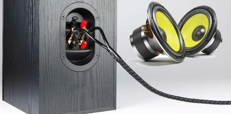 Image of home and car speakers to be connected