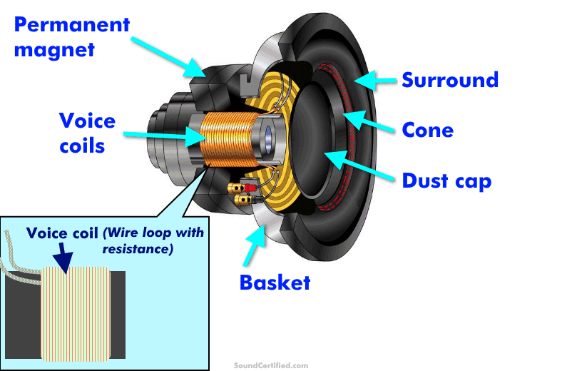 Illustrated diagram of a woofer speaker and its parts (3D exploded view)