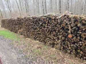 Bois de chauffage calibré 2.00 mt