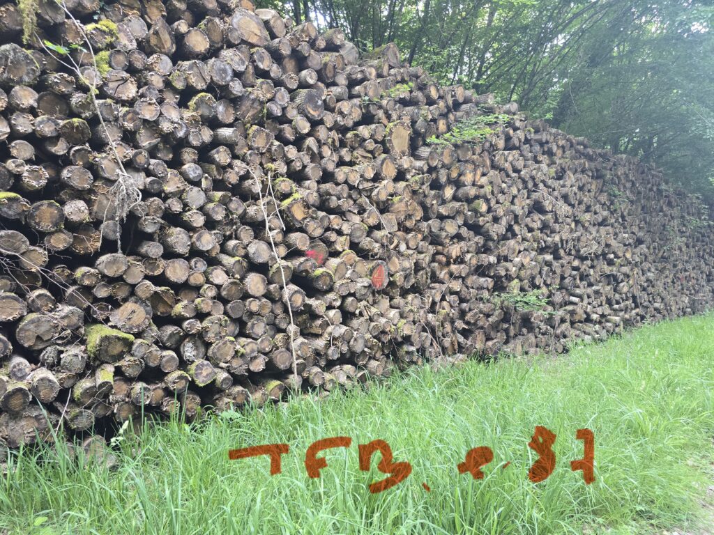 Bois de chauffage calibré 2.00 mt