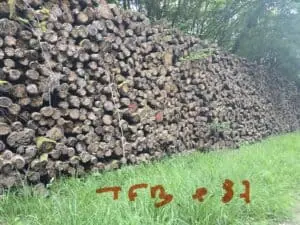 Bois de chauffage calibré 2.00 mt