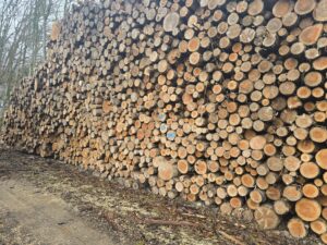 Bois de chauffage calibré 2.00 mt