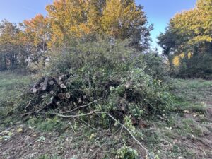 Chantier Prestation