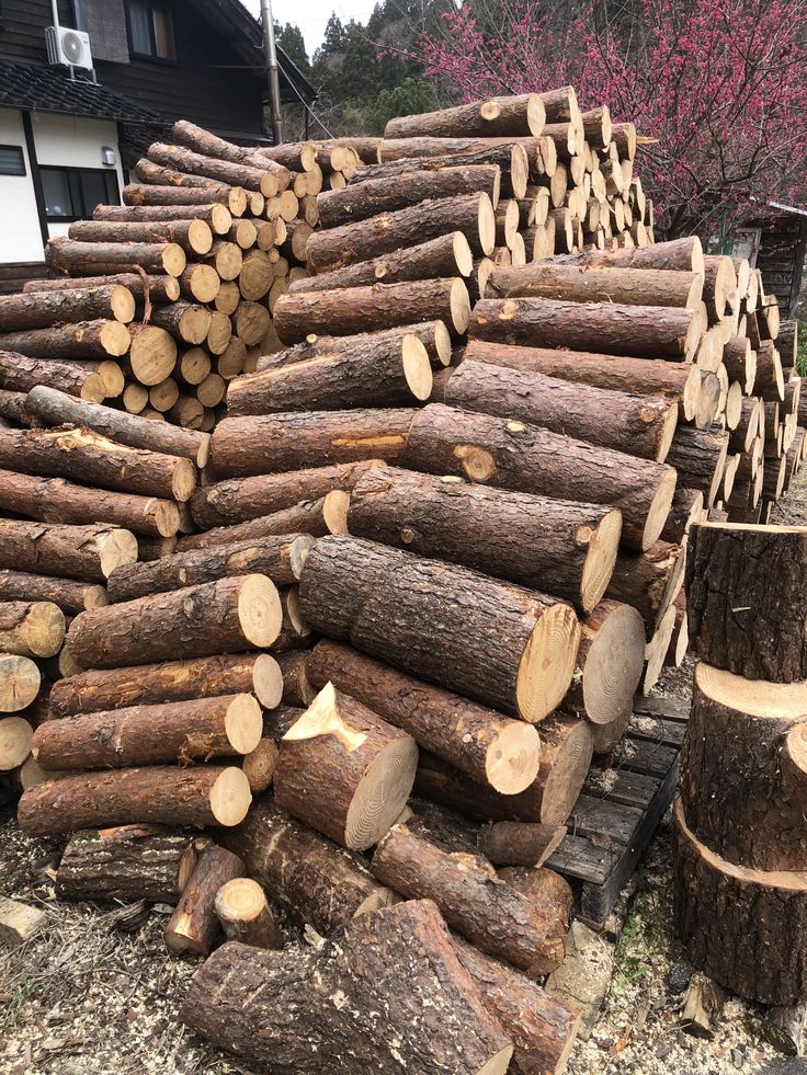 Bois de chauffage sec