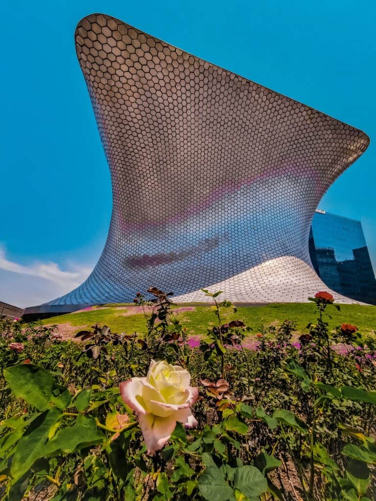 Things to do on Monday in Mexico City, Mexico City Off The Beaten Track