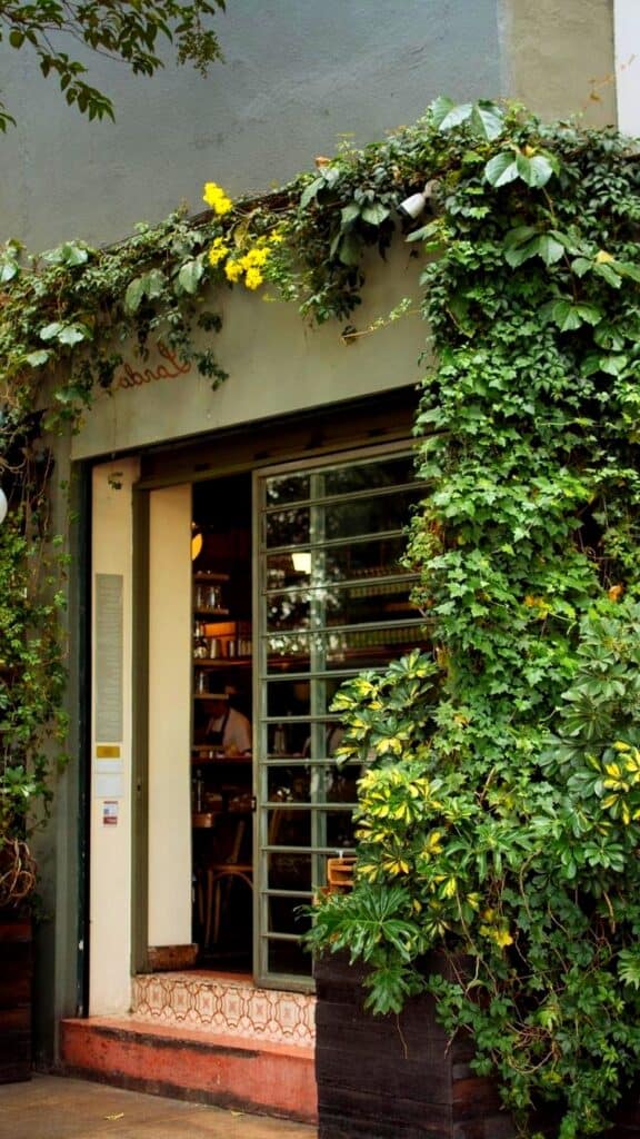 Breakfast in Mexico City Roma Condesa