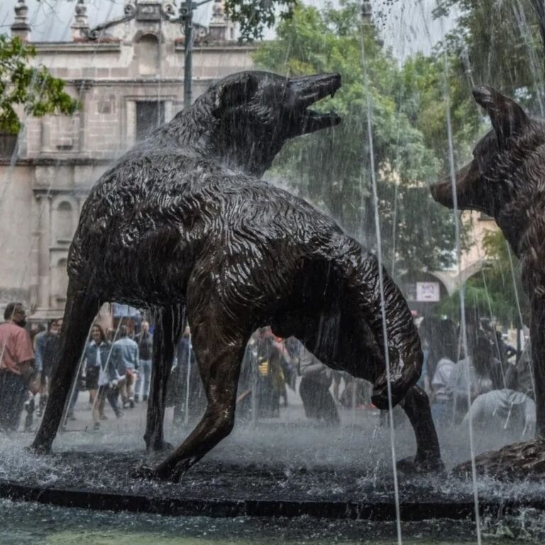 Where to stay in Roma and Condesa? Mexico City. Where to stay in Mexico City? Pros and cons Roma and Condesa, Coyoacan