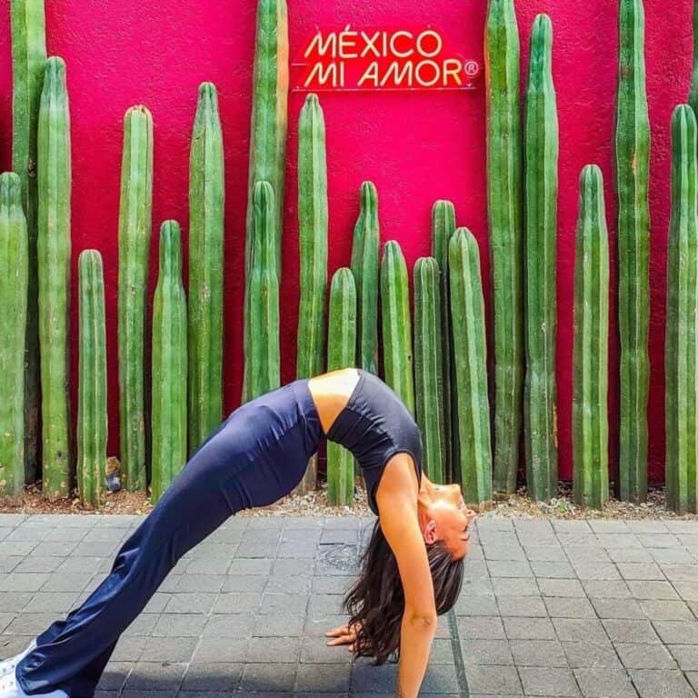 Places to stay in Mexico City, Polanco. Polanco advantages and disadvantages, polanco pros and cons.