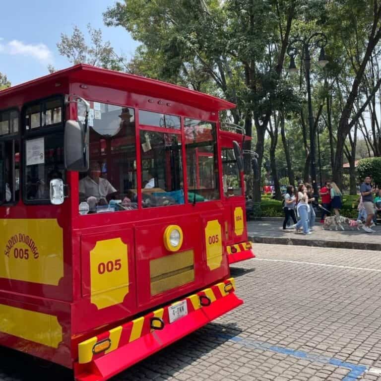 Where to stay in Roma and Condesa? Mexico City. Where to stay in Mexico City? Pros and cons Roma and Condesa, Coyoacan