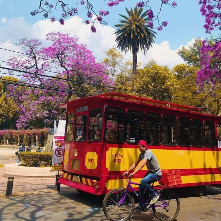 Where to stay in mexico city? Roma, Condesa, Polanco, Centro, Coyoacan. Pros and cons of the neighborhoods in mexico city.