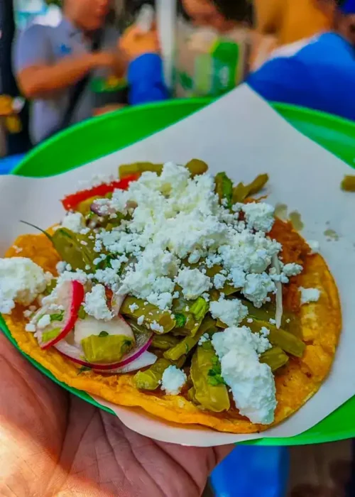 street food mexico city, mexico city food tour, taco tour mexico city, mexico city bike tour, food bike tour cdmx, things to do in mexico city, condesa food tour, roma norte food tour, best food tour mexico city, local food mexico city, street food tour mexico city, tacos in mexico city, what to eat in mexico city, bike taco tour mexico city, cdmx food experience, culinary tour mexico city, authentic food tour cdmx, guided food tour mexico city, foodie tour mexico city, best tacos roma norte, eat like a local mexico city, cdmx bike and food tour, mexico city urban food tour, food tourism mexico, mexico city street eats, explore condesa on bike, food lovers tour mexico city, tacos al pastor tour, street food and culture tour, local eats cdmx, mexico city flavors tour, mexico city by bike, things to do roma norte, cultural experiences mexico city, mexico food travel, taco tasting mexico city, mexican street food tour, must eat cdmx, discover cdmx street food, travel experiences mexico city, mexico city street food guide, best tacos in condesa, tacos and bike tour, walking and food tour cdmx, food adventures mexico, mexico city local guide, authentic mexico city food, explore cdmx like a local, roma condesa food tour, bike experience mexico city, taco crawl mexico city, best local food cdmx, bike tour roma norte, things to do condesa, top food tours mexico, food and travel mexico, urban tacos mexico city, bike and street food experience, eat explore mexico city