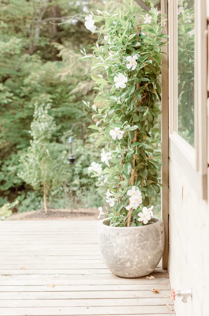 Garden House - Amy &. Nick | Le Belvedere at Wakefield in Quebec - Ottawa Wedding Venue - Grey Loft Studio