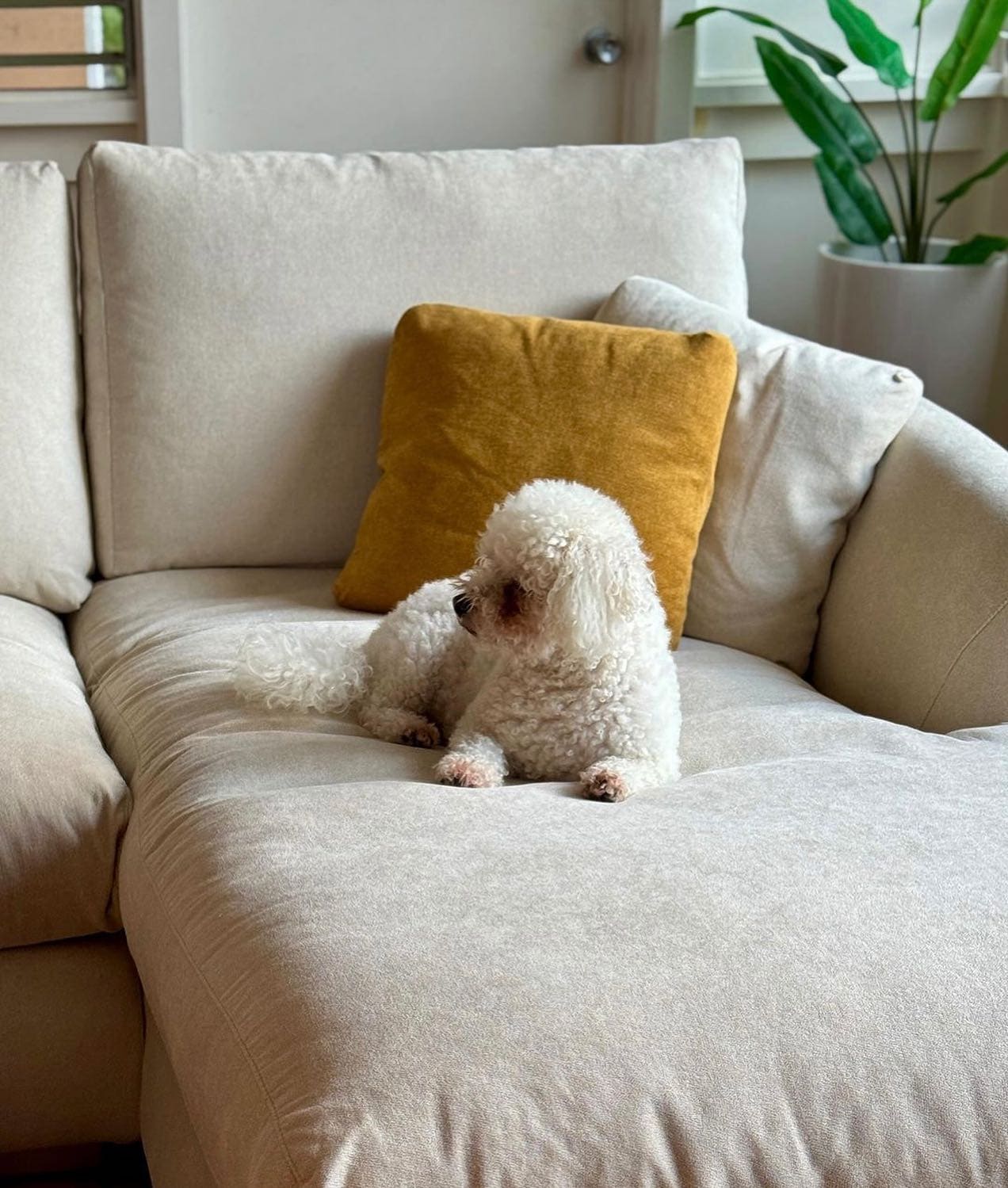 Stella Love Seat