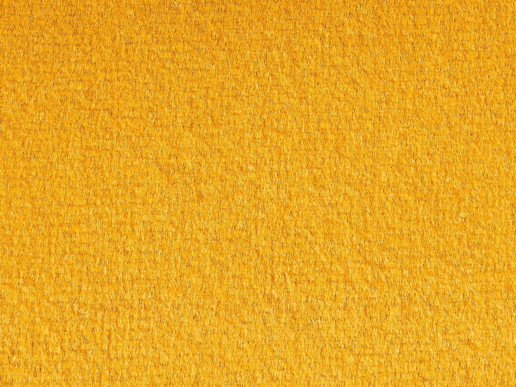 Marigold