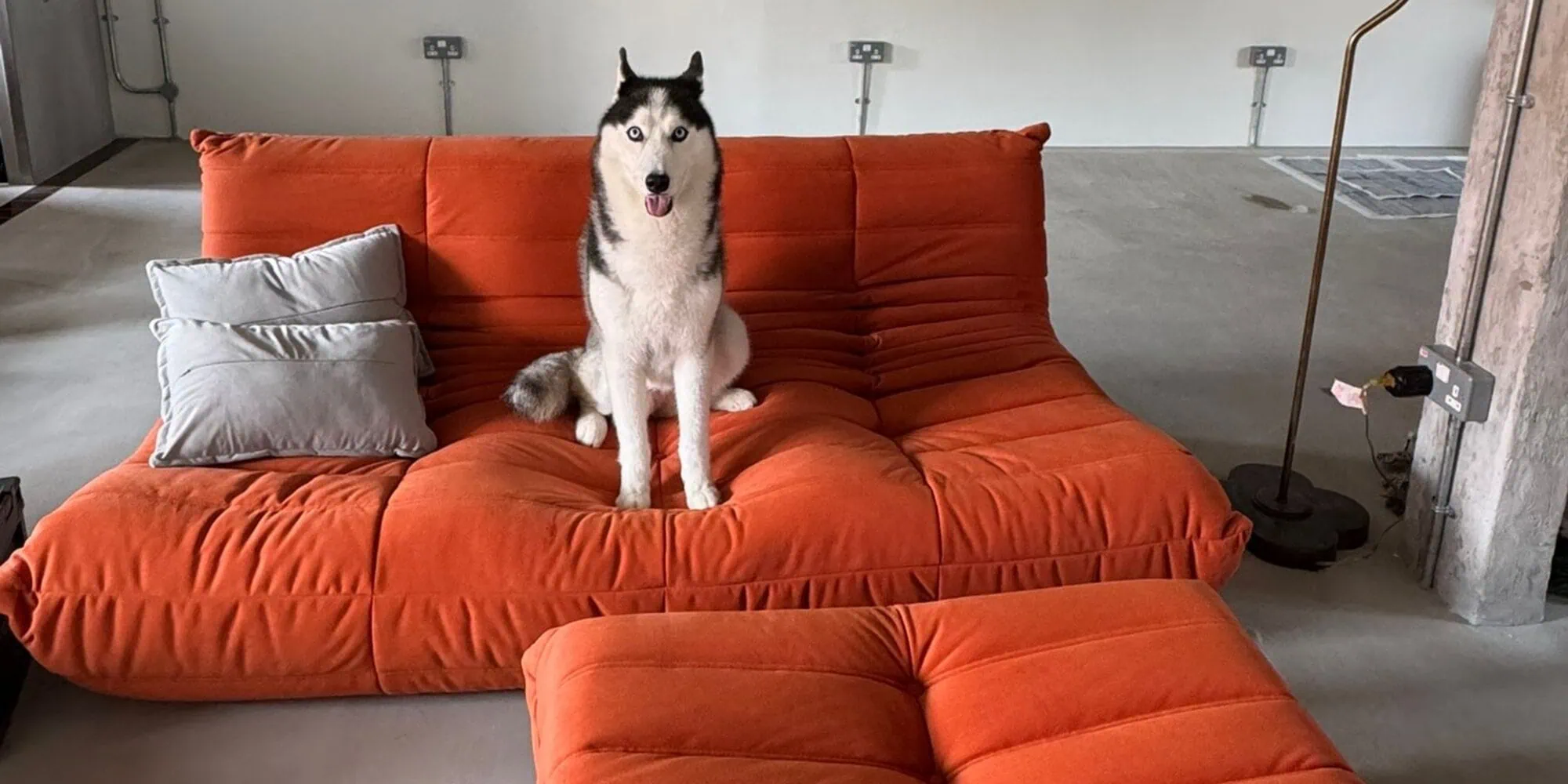 Sammie Sofa · pet friendly