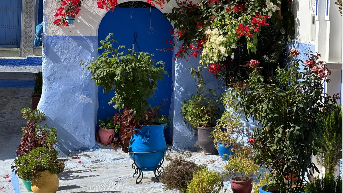 Blue streets on a Chefchaouen day trip from Tangier/Excursión a Chefchaouen