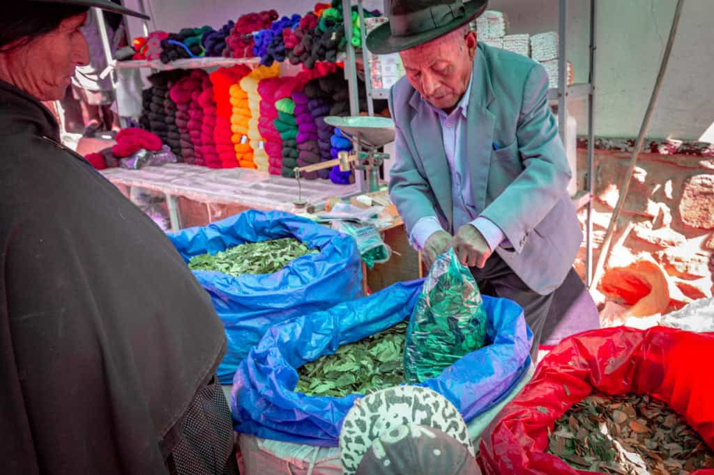 Bolivia - Tarabuco - coca leaf