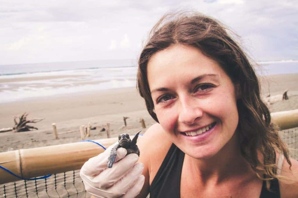 Costa Rica - Turtle volunteering