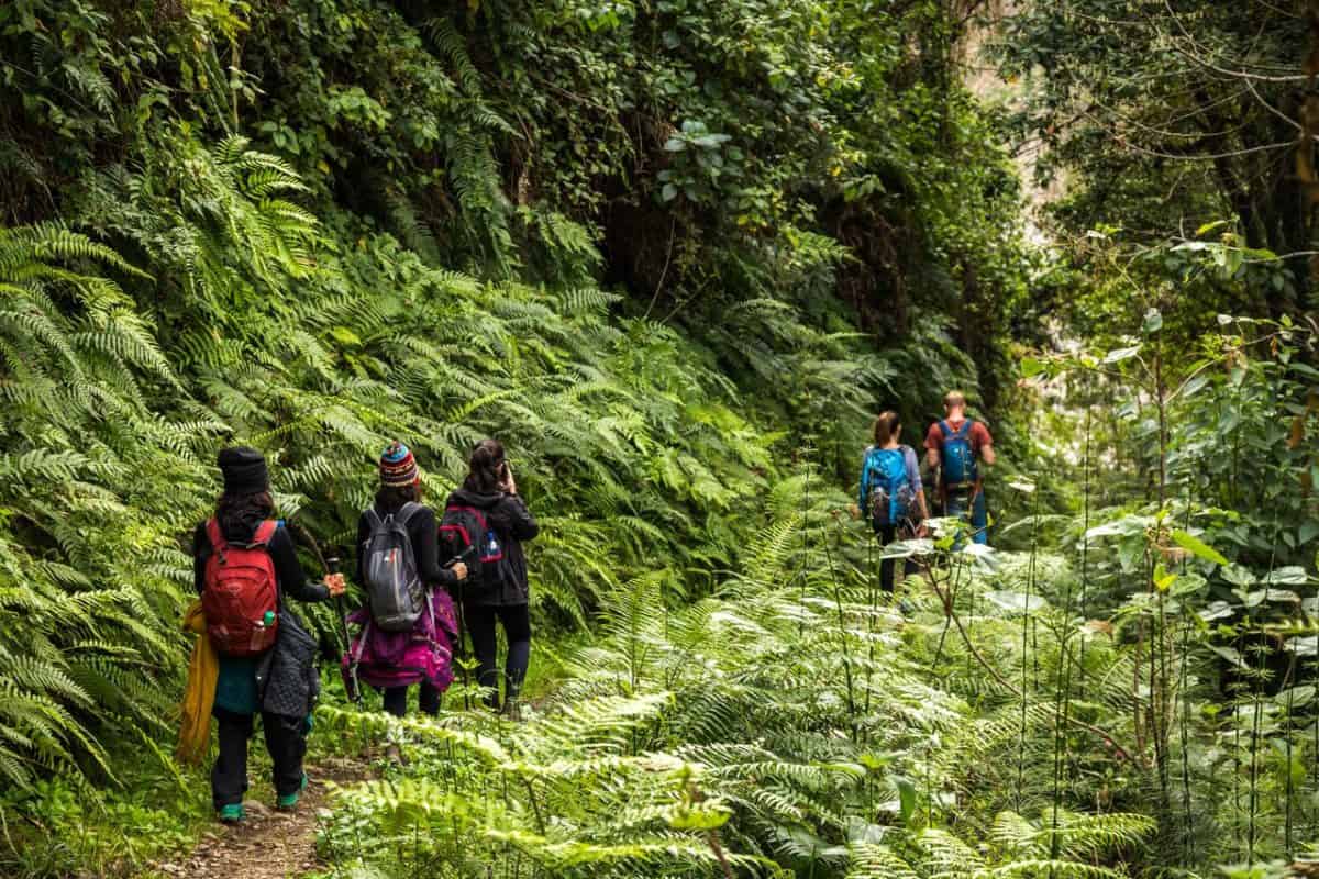 Peru - Salkantay Trek - Tropical forest walk