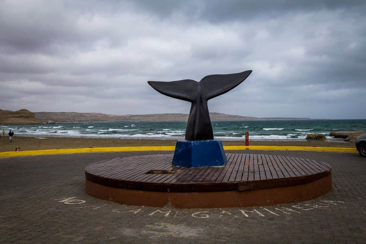 Argentina - Valdes peninsula - puerto pyramides