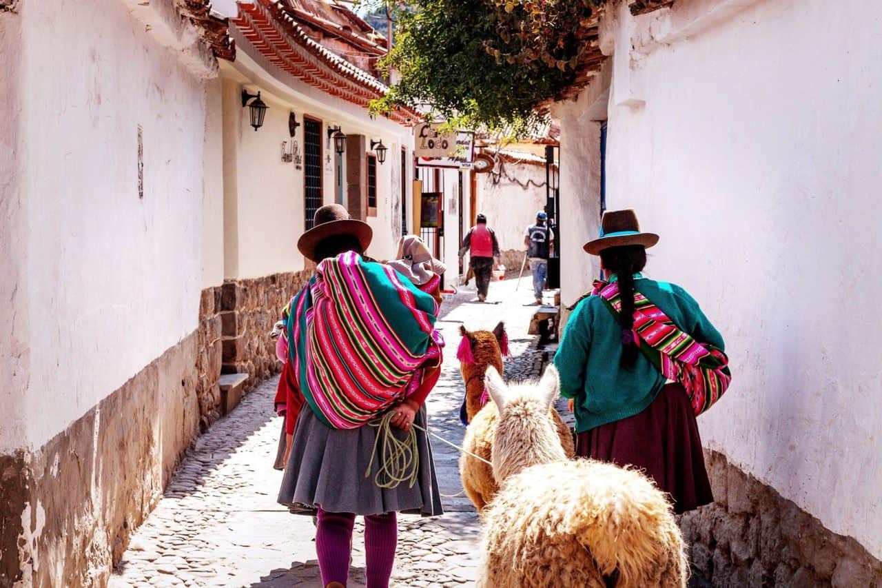 Peru - Cusco - local alapca