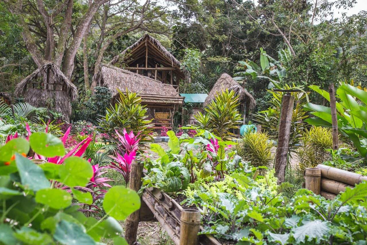 Rio Muchacho Organic farm - Canoa Ecuador