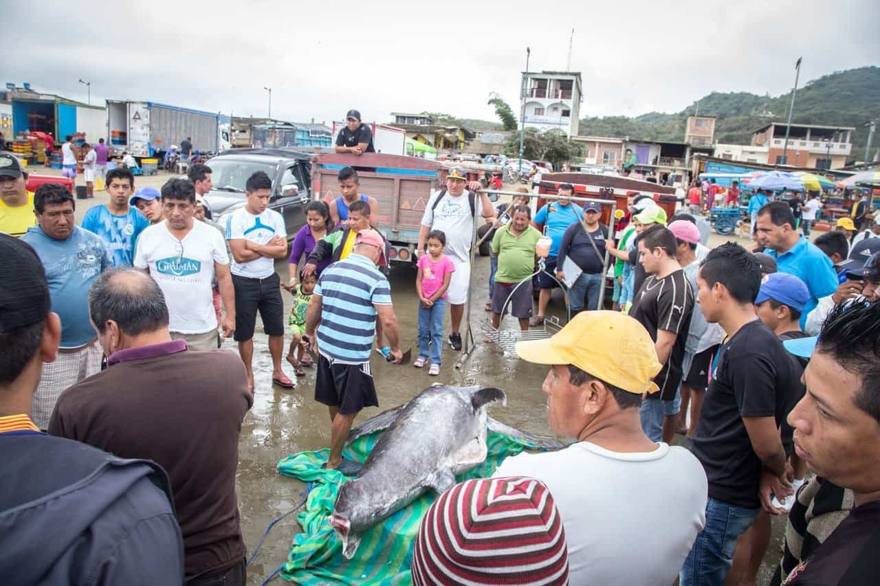 fishermen puerto lopez ecuador 1