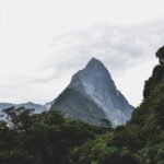 Scenic view of Mitre Peak in Milford Sound with rainforest and water.