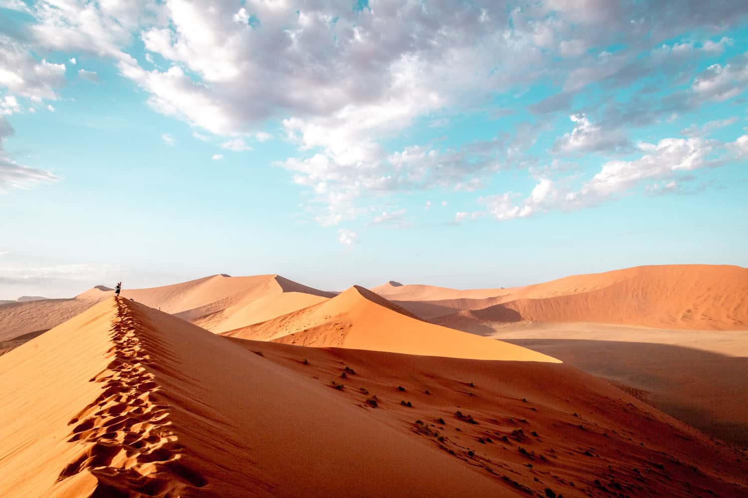 Namibia-visit Sossusvlei- dune 45