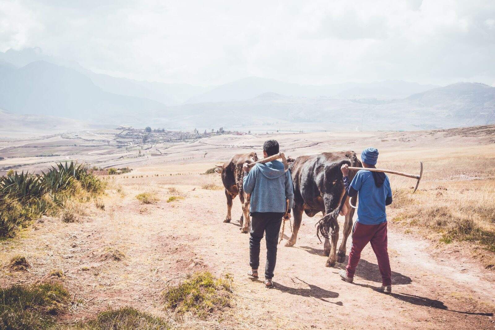 Peru-Sacred Valley- Landscape Farmer 1
