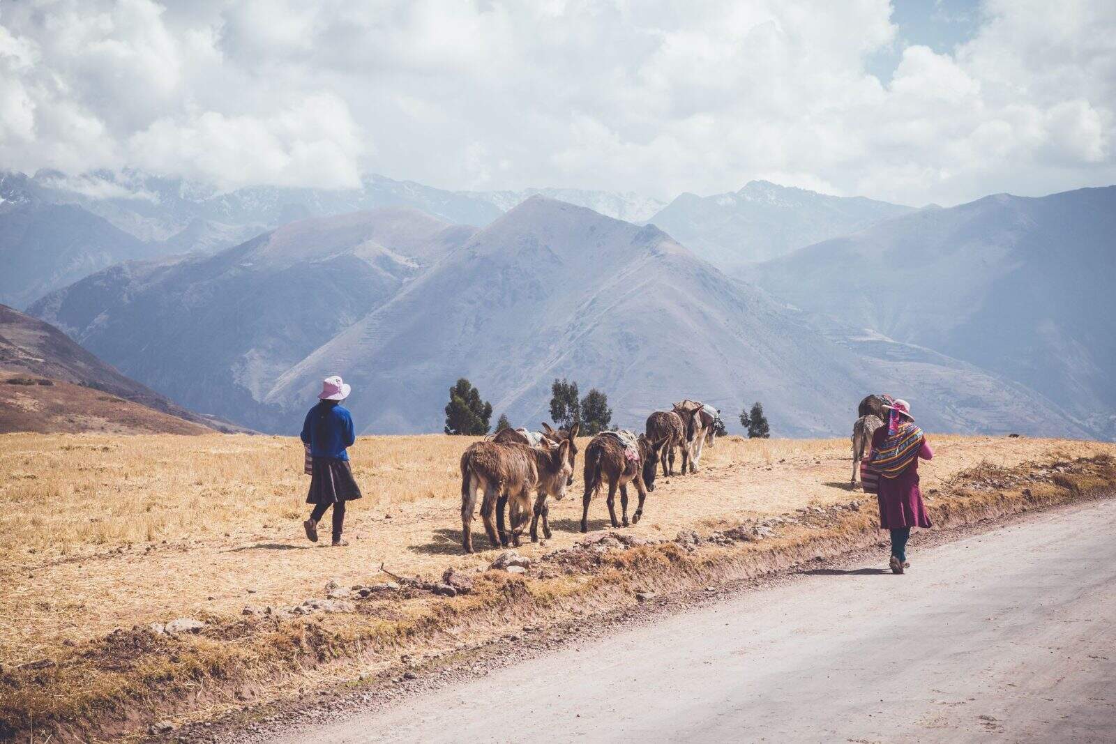 Peru-Sacred Valley- Landscape Farmer